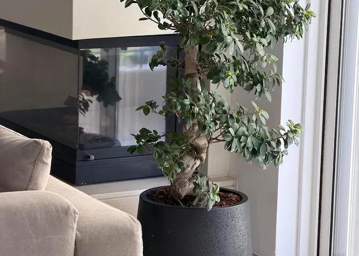 Apartment Cl Luxury *