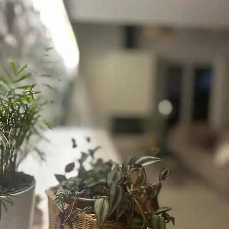 Cl Luxury * Kalamata