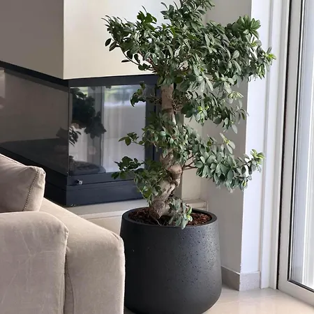 Apartment Cl Luxury *
