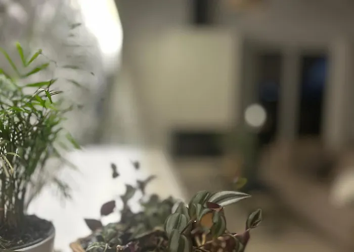 Cl Luxury * Kalamata